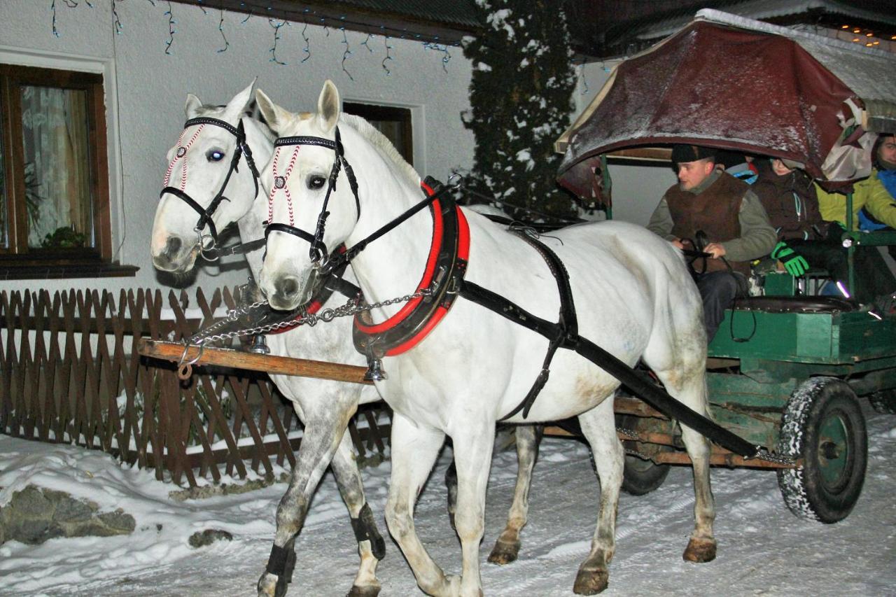 Bed and Breakfast U Sarapatki Jurgów Zewnętrze zdjęcie